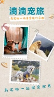 滳滴宠旅宠物旅游：与宠物一同享受旅行的乐趣