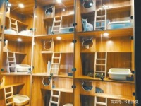 主人出去旅游宠物可以住进“套房”