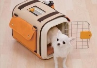 宠物旅游团费用超正常价格两倍，花5万带宠物出国旅游值吗