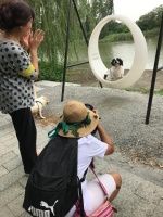 专辟楼层招呼“宠物团”！宠物旅游热悄然兴起 携宠住星级酒店是怎样的体验？