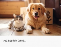 5万报宠物旅行团，包机出国游，萌宠生意有多赚？