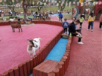 出彩加盟费多少钱