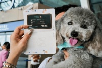 国内首个人宠包机出境游启程，宠物消费市场呈现精细化趋势