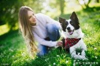 深圳首个宠物主题公园免费开放！铲屎官的福利来咯……