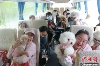 带着“宠物”去旅行？精细化养宠趋势催生旅游新业态