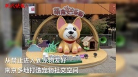 从禁止入内到宠物友好，南京多地打造宠物社交空间