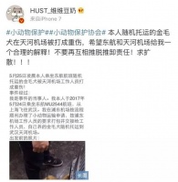 东航又一金毛托运惨死，国内航班为何频发宠物托运事故？