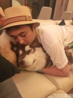 王思聪爱犬开淘宝店年入3000万，同款狗牌比其他店家贵7倍