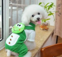 疫情影响下，宠物店转型线上业务如何开展？宠老板有妙招!