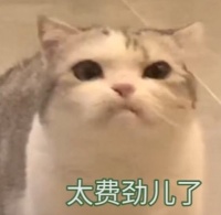 每天都在用的表情包，竟然是一个百大UP主？