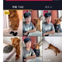 涉嫌“虐狗”网红博主回应质疑：遭遇严重网暴，或许成下一个“刘学州”