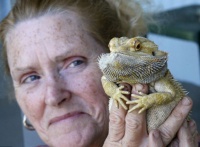 美老妇用心肺复苏术救活溺水宠物蜥蜴