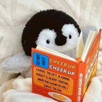 不咬人的大耗子