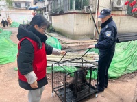 主人搬家宠物竟被遗弃！ 社区出面让狗狗不再流浪