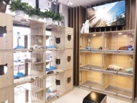 宠物酒店投资多少钱？全面解析宠物酒店投资成本与创业机遇