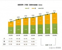 宠物经济崛起，怡亲助力宠物友好酒店新业态
