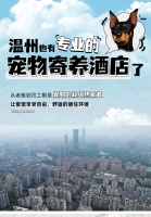 堪称萌宠天堂的专业宠物酒店，一站式服务体验解决“留守问题”！