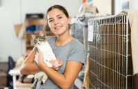 美国《大西洋月刊》：养宠物对人的健康有好处吗？