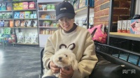 小店故事丨宠物店里的爱心与责任