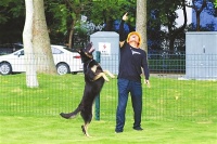 珠海市香洲区人民政府门户网站