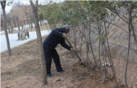 宠物公园职工春节期间坚守岗位