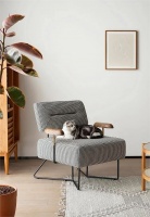 宠物家居的友好装修指南