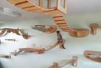 实用的宠物家具设计 家有喵星人汪星人必看