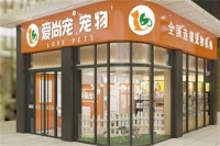 开启宠物装饰新篇章：详解开设宠物装饰店的资金投入与创业优势