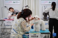 2025年日本东京装饰宠物用品展 2024
