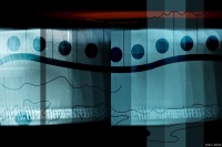 十大国产良心狗粮排名：精心挑选，守护宠物健康