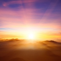 #宠物营养师# ht...