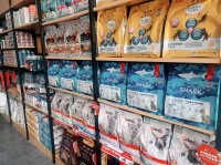 宠物生意中的黄金岗位：探索创业新机会