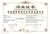 广州国家宠物中级美容师速培训班(C级)