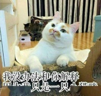 家长们看过来！免费宠物医生顾问在线问诊，为你答疑解惑