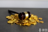 被宠物咬伤赔偿问题