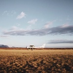 宠物节是几月几日？ 爱问知识人