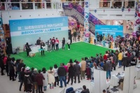 第二届弗斯特宠物节人气爆棚 宠物医保最吸睛