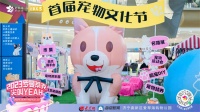 多角度体验萌宠互动 济宁首届宠物文化节为爱宠人士打造社交欢聚空间