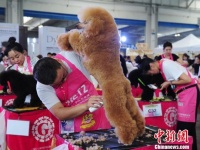 长春办宠物文化节 各式宠物萌化人心