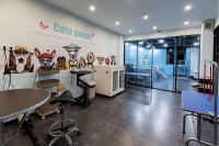 抓住创业机会！开宠物店让你享受与宠物共舞的乐趣，实现财富自由！