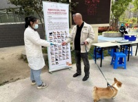 南通崇川：“宠”爱有方 感受城市文明新风尚,南通网