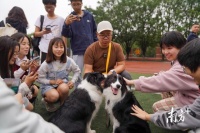 “时装秀、婚礼”，千余只萌宠现身华农宠物嘉年华