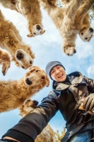 生活在上海｜张天航：英国海归硕士独爱宠物摄影