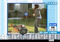台湾“轮椅狗”打动美国人心 奇遇故事获奖(图)——中新网