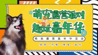 [活动方案]：2022萌宠露营派对城市萌宠露营嘉年华活动策划方案