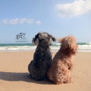 再一次！ @宠物摄影...