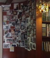 广州8间宠物主题咖啡饮品店 就这样幸福地萌一个下午！