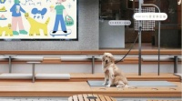 把猫猫狗狗带来店里，会让咖啡茶饮店的生意变好？