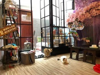 猫咪咖啡馆加盟费多少钱