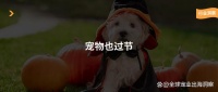 美国万圣节宠物服装支出将达7亿美元，宠物主假日计划调查